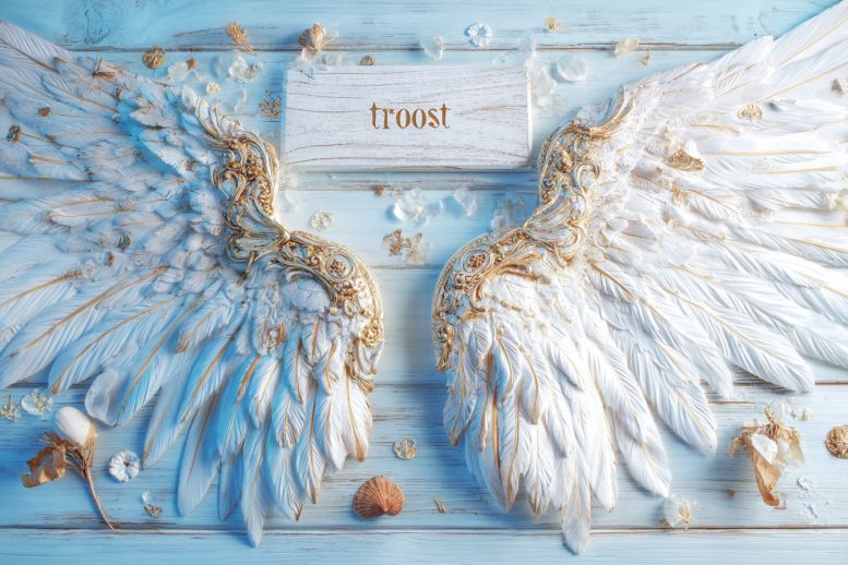 Troost van je beschermengel Troost van je beschermengel