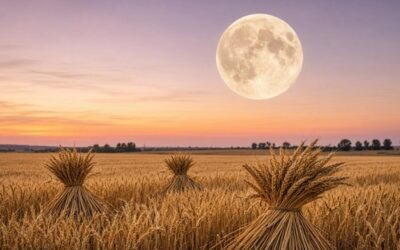 Lammas en de volle supermaan